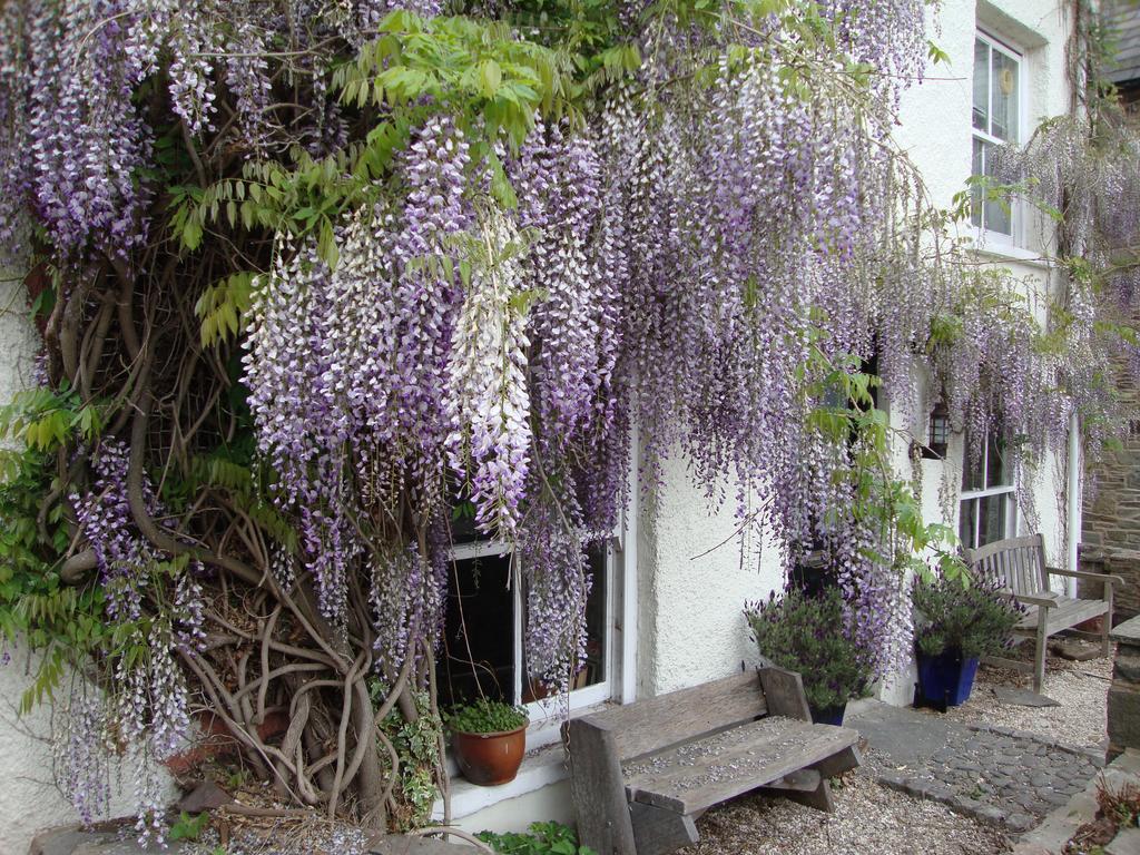 Half Moon House Apartment Hay-On-Wye Luaran gambar